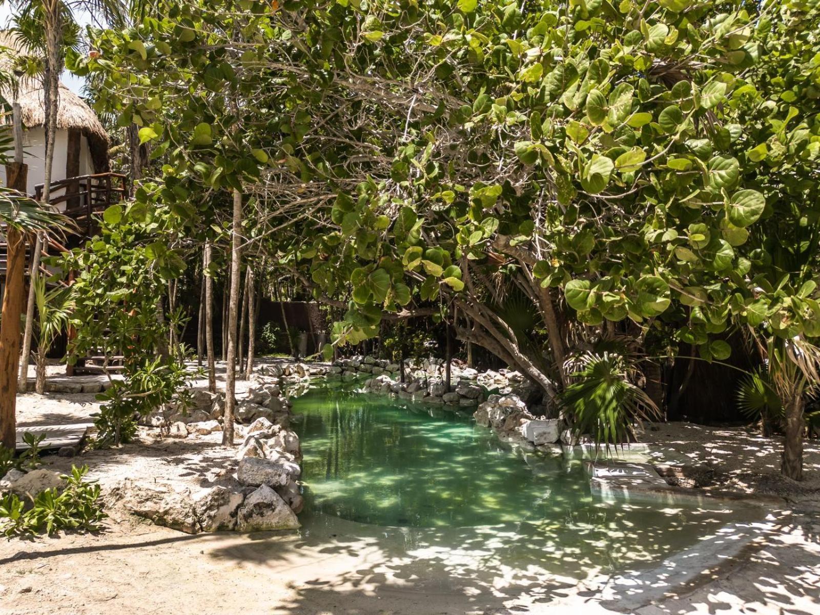 Niken Beachfront Tulum Hotel Buitenkant foto