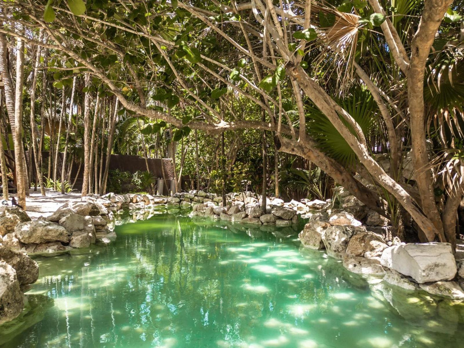 Niken Beachfront Tulum Hotel Buitenkant foto