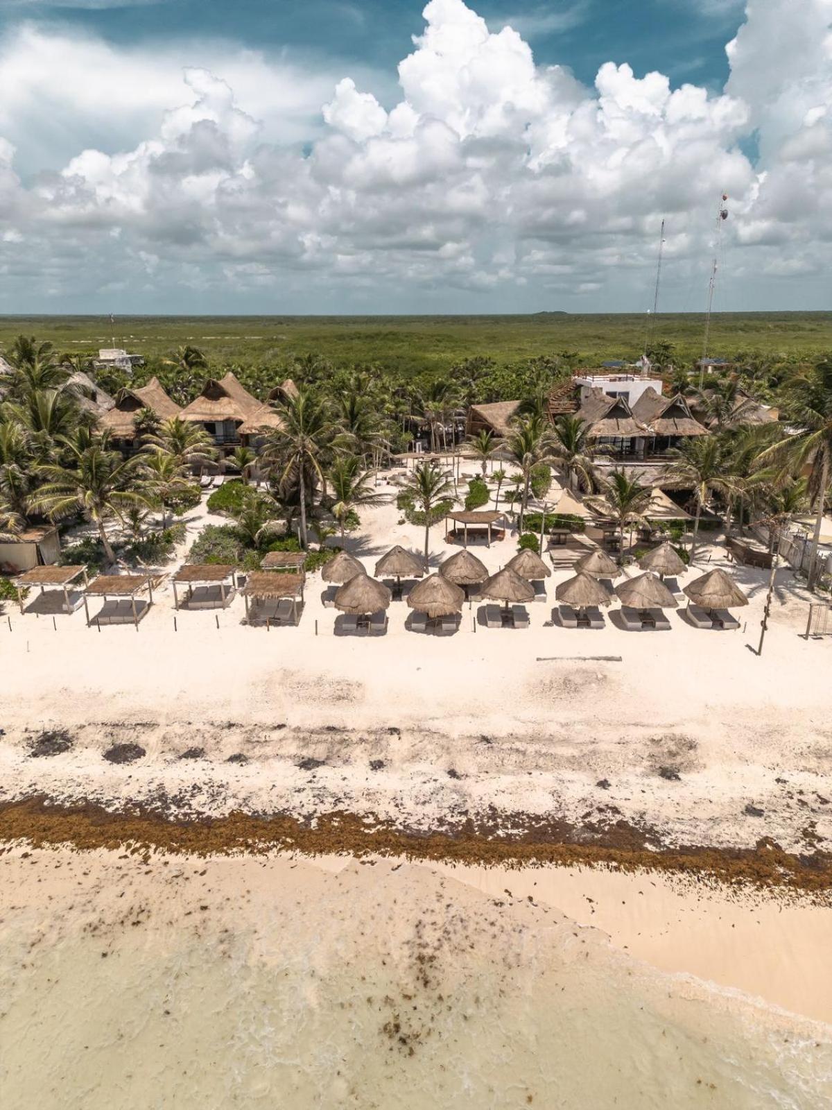 Niken Beachfront Tulum Hotel Buitenkant foto